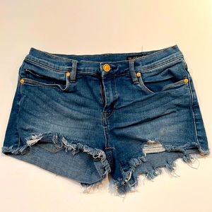 Blank NYC Denim Shorts